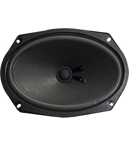 Amazon.com: Rockville RVL69W Competition 6x9